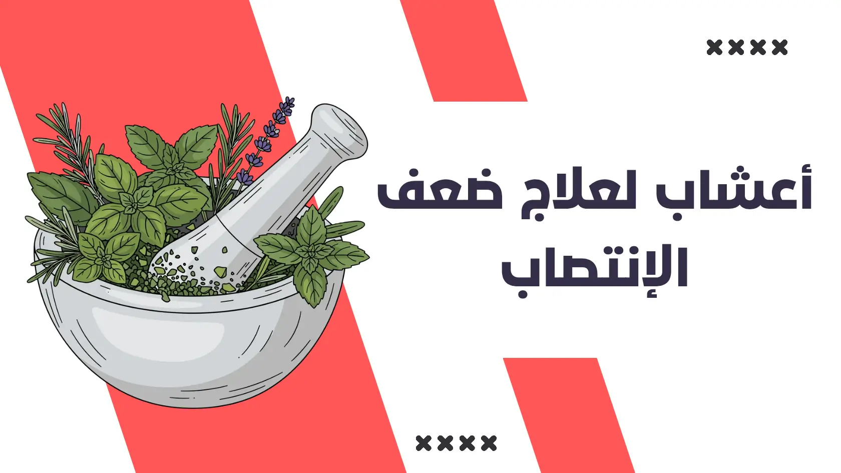 6 أعشاب لعلاج ضعف الإنتصاب